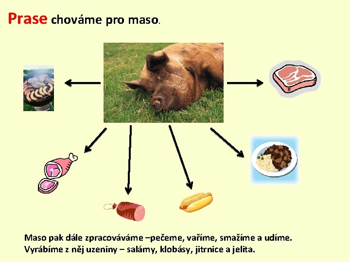 Prase chováme pro maso. Maso pak dále zpracováváme –pečeme, vaříme, smažíme a udíme. Vyrábíme