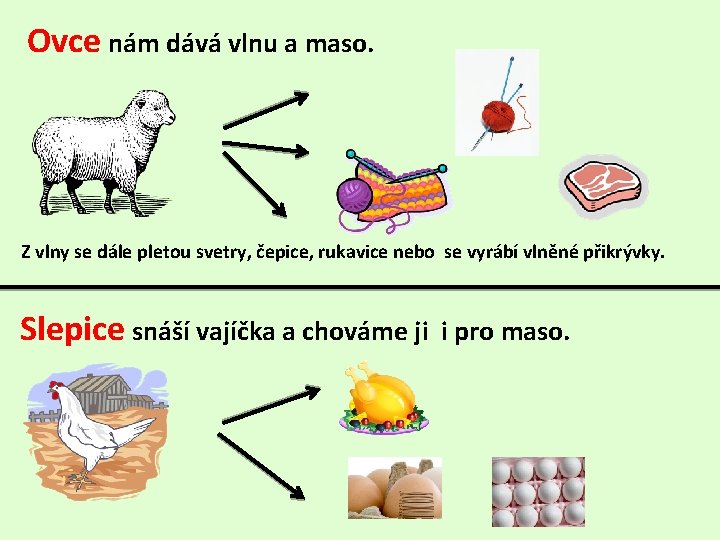 Ovce nám dává vlnu a maso. Z vlny se dále pletou svetry, čepice, rukavice