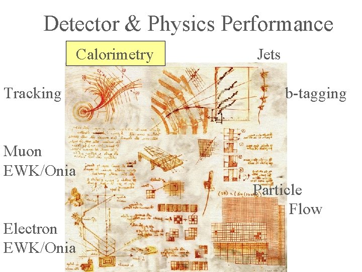 Detector & Physics Performance Calorimetry Tracking Jets b-tagging Muon EWK/Onia Particle Flow Electron EWK/Onia