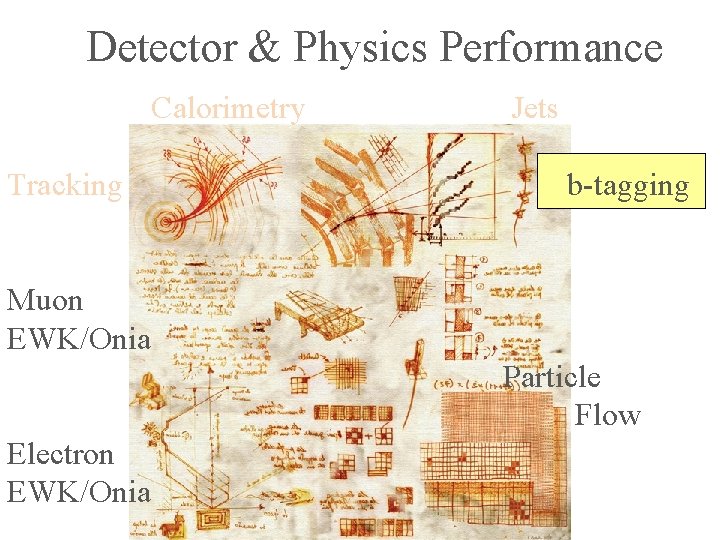 Detector & Physics Performance Calorimetry Tracking Jets b-tagging Muon EWK/Onia Particle Flow Electron EWK/Onia