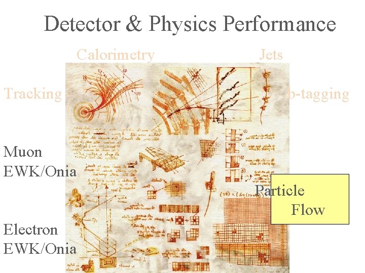 Detector & Physics Performance Calorimetry Tracking Jets b-tagging Muon EWK/Onia Particle Flow Electron EWK/Onia