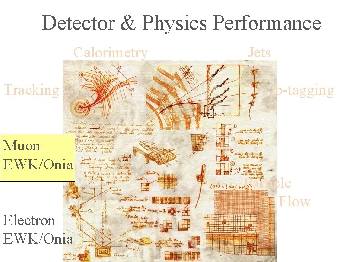 Detector & Physics Performance Calorimetry Tracking Jets b-tagging Muon EWK/Onia Particle Flow Electron EWK/Onia