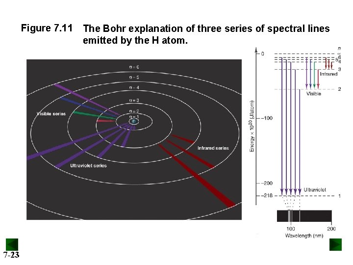 Figure 7. 11 7 -23 The Bohr explanation of three series of spectral lines