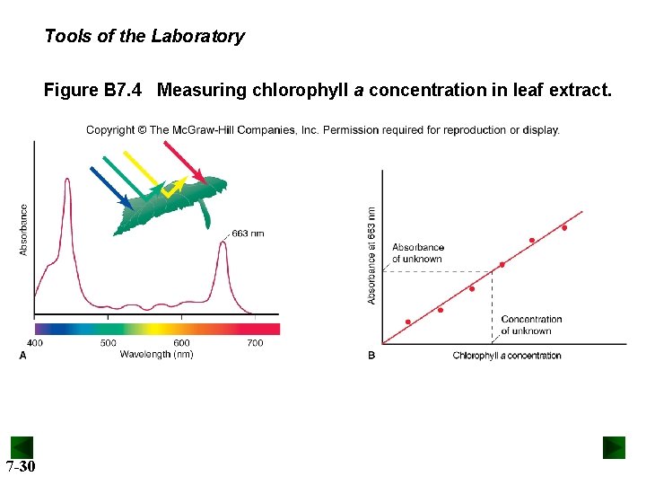 Tools of the Laboratory Figure B 7. 4 Measuring chlorophyll a concentration in leaf