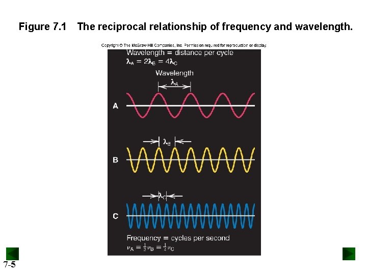Figure 7. 1 The reciprocal relationship of frequency and wavelength. 7 -5 
