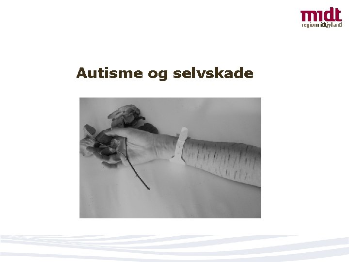 Autisme og selvskade 