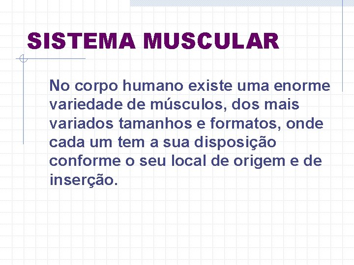 SISTEMA MUSCULAR No corpo humano existe uma enorme variedade de músculos, dos mais variados