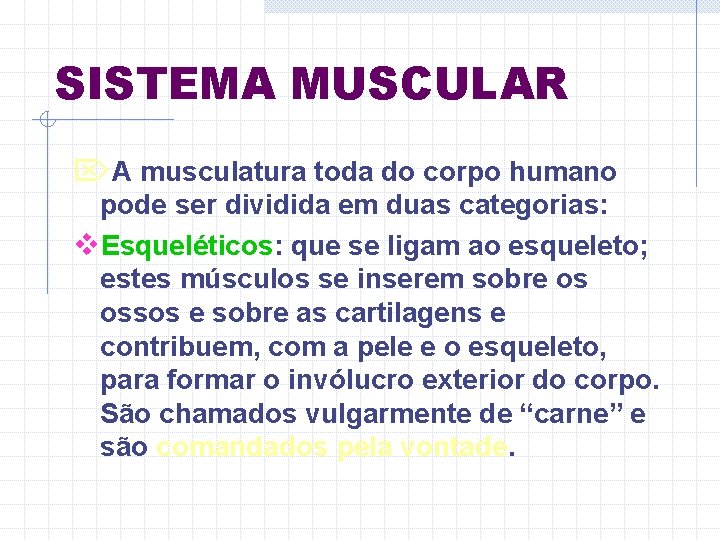 SISTEMA MUSCULAR ÖA musculatura toda do corpo humano pode ser dividida em duas categorias: SISTEMA MUSCULAR ÖA musculatura toda do corpo humano pode ser dividida em duas categorias: