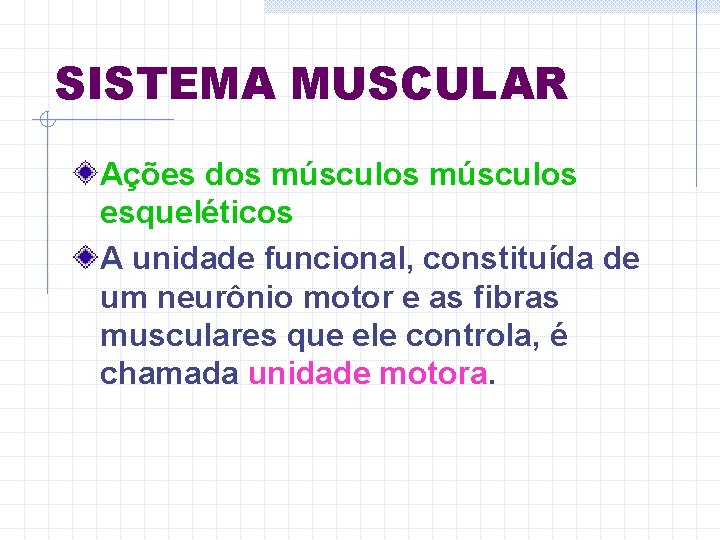 SISTEMA MUSCULAR Ações dos músculos esqueléticos A unidade funcional, constituída de um neurônio motor SISTEMA MUSCULAR Ações dos músculos esqueléticos A unidade funcional, constituída de um neurônio motor