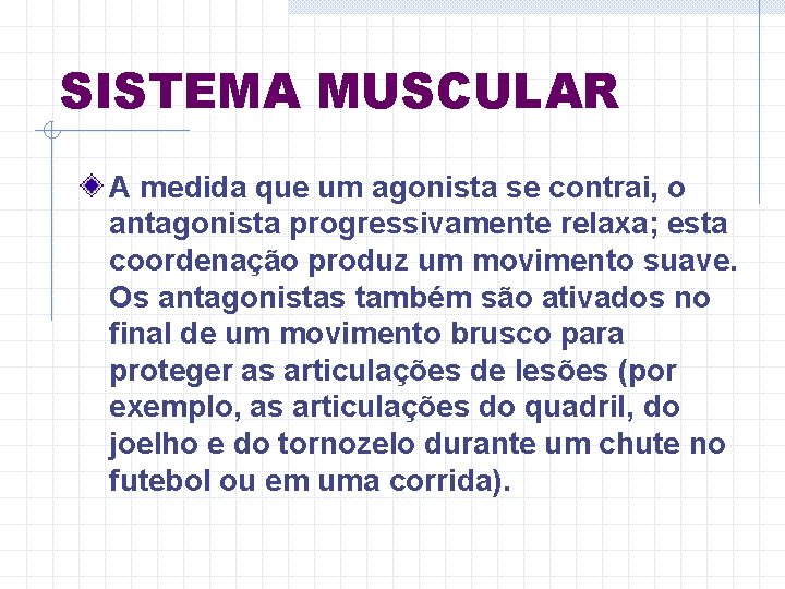 SISTEMA MUSCULAR A medida que um agonista se contrai, o antagonista progressivamente relaxa; esta