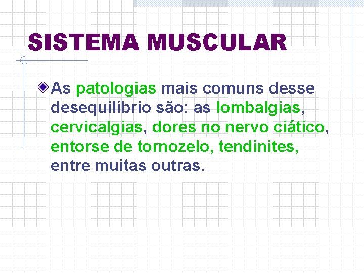 SISTEMA MUSCULAR As patologias mais comuns desse desequilíbrio são: as lombalgias, cervicalgias, dores no