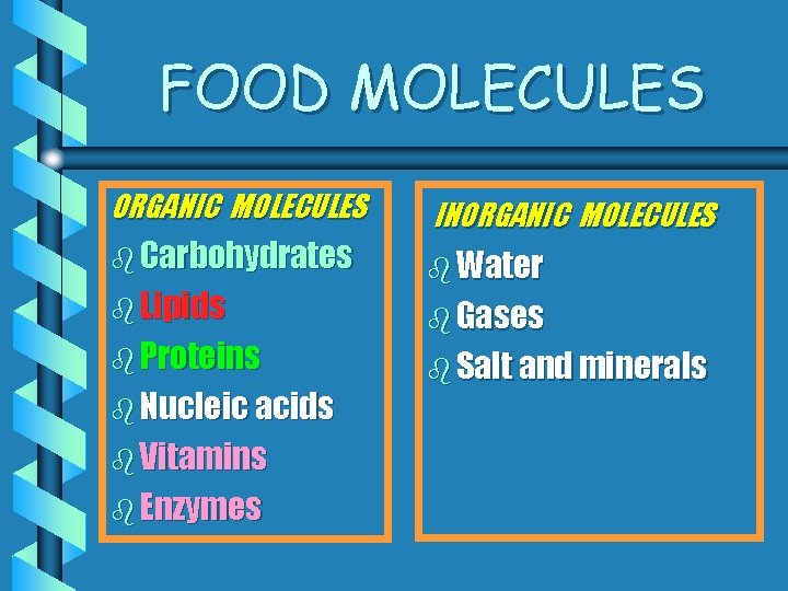 FOOD MOLECULES ORGANIC MOLECULES b Carbohydrates b Lipids b Proteins b Nucleic acids b