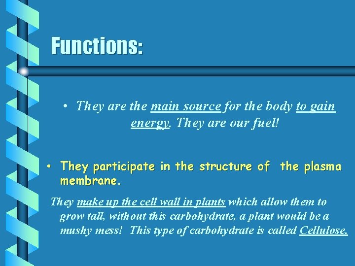 Functions: • They are the main source for the body to gain energy. They