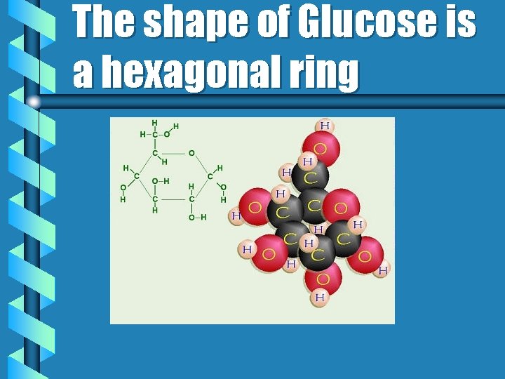 The shape of Glucose is a hexagonal ring 