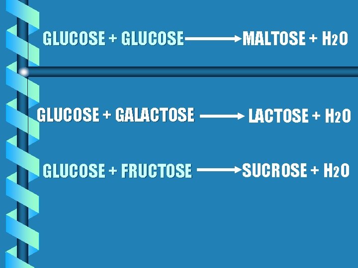 GLUCOSE + GLUCOSE MALTOSE + H 2 O GLUCOSE + GALACTOSE + H 2