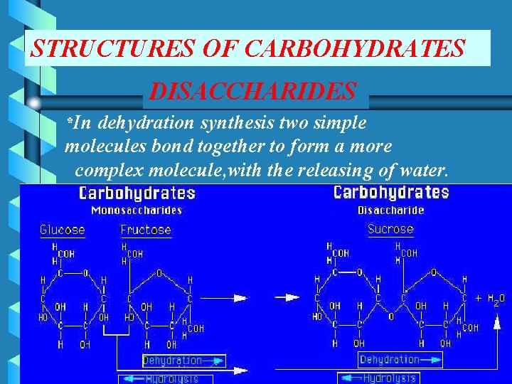 STRUCTURES OF CARBOHYDRATES DISACCHARIDES *In dehydration synthesis two simple molecules bond together to form