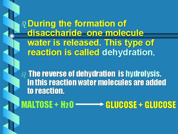 b During the formation of disaccharide one molecule water is released. This type of