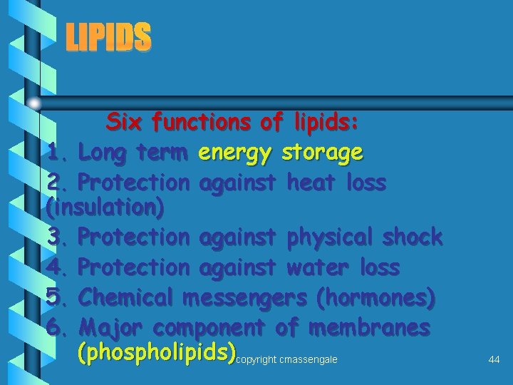 LIPIDS Six functions of lipids: 1. Long term energy storage 2. Protection against heat