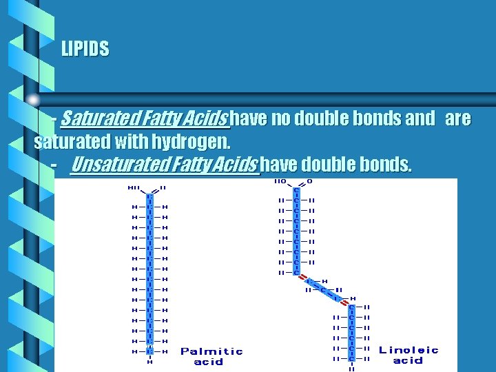 LIPIDS - Saturated Fatty Acids have no double bonds and are saturated with hydrogen.