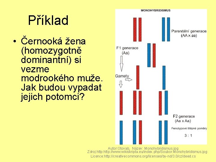  Příklad • Černooká žena (homozygotně dominantní) si vezme modrookého muže. Jak budou vypadat