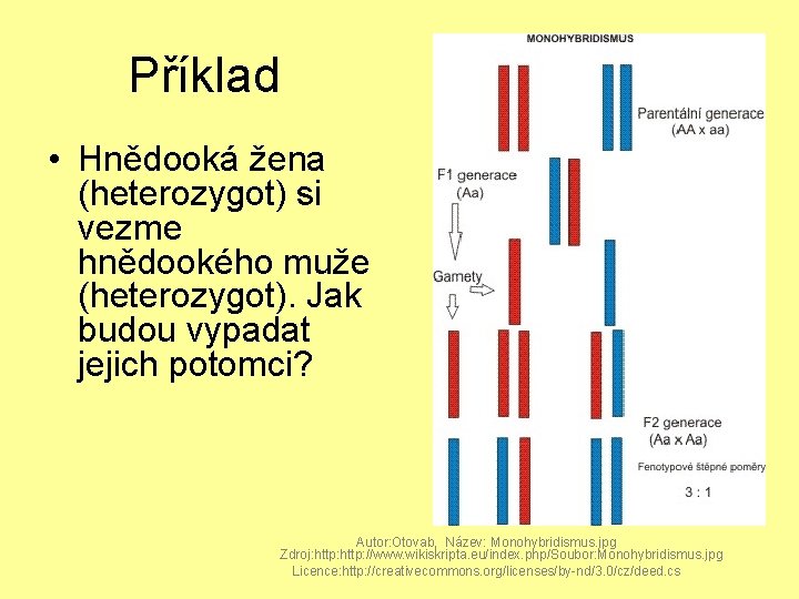 Příklad • Hnědooká žena (heterozygot) si vezme hnědookého muže (heterozygot). Jak budou vypadat jejich