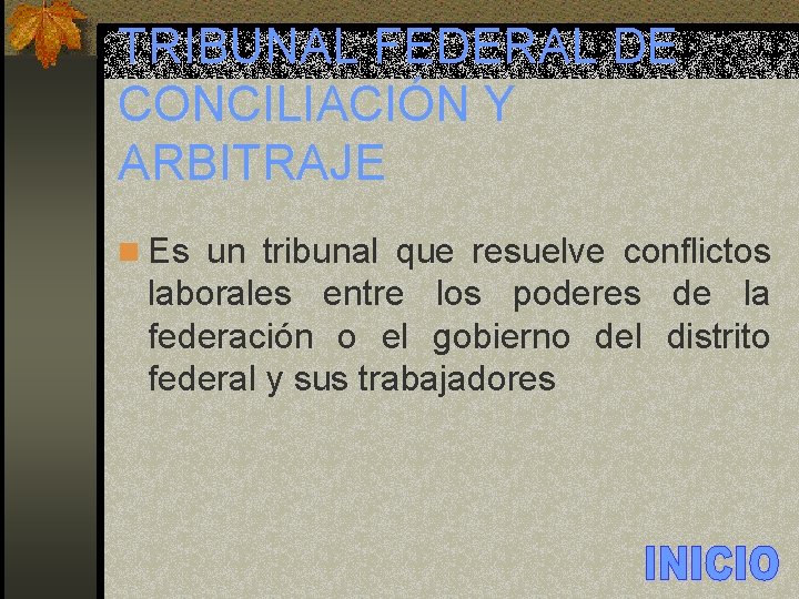 TRIBUNAL FEDERAL DE CONCILIACIÓN Y ARBITRAJE n Es un tribunal que resuelve conflictos laborales