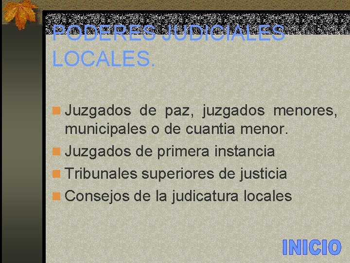PODERES JUDICIALES LOCALES. n Juzgados de paz, juzgados menores, municipales o de cuantia menor.