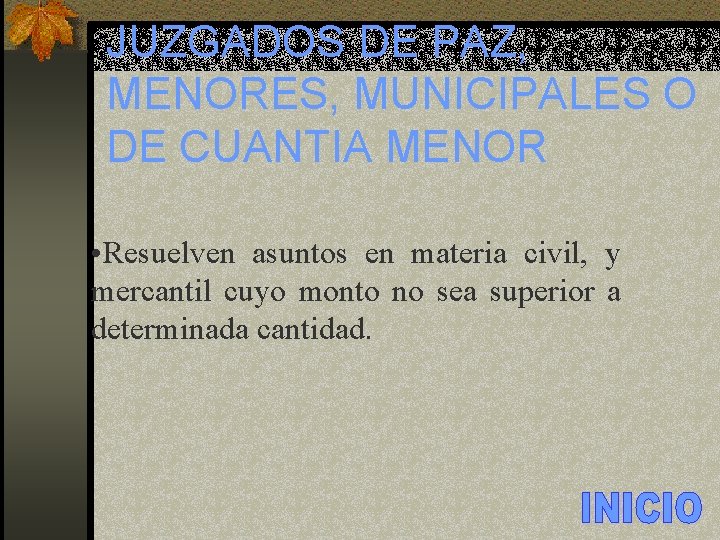 JUZGADOS DE PAZ, MENORES, MUNICIPALES O DE CUANTIA MENOR • Resuelven asuntos en materia