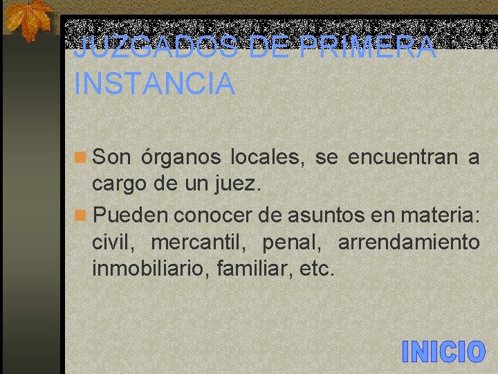 JUZGADOS DE PRIMERA INSTANCIA n Son órganos locales, se encuentran a cargo de un