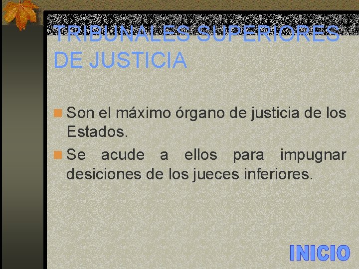 TRIBUNALES SUPERIORES DE JUSTICIA n Son el máximo órgano de justicia de los Estados.