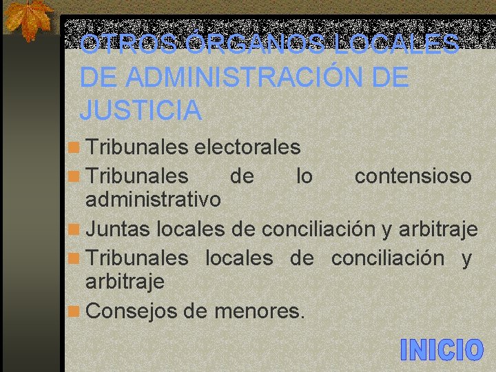 OTROS ÓRGANOS LOCALES DE ADMINISTRACIÓN DE JUSTICIA n Tribunales electorales n Tribunales de lo