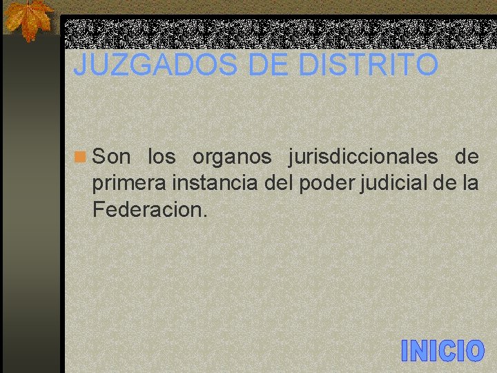 JUZGADOS DE DISTRITO n Son los organos jurisdiccionales de primera instancia del poder judicial