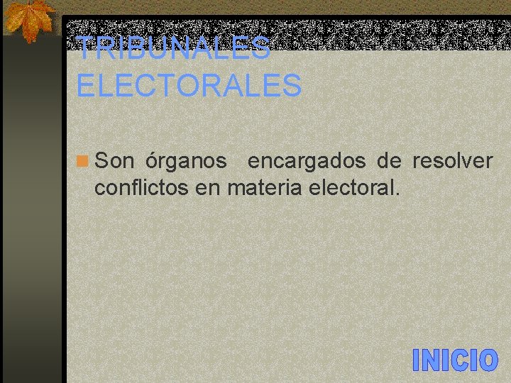 TRIBUNALES ELECTORALES n Son órganos encargados de resolver conflictos en materia electoral. 