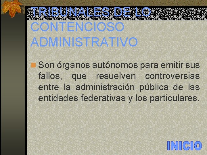 TRIBUNALES DE LO CONTENCIOSO ADMINISTRATIVO n Son órganos autónomos para emitir sus fallos, que