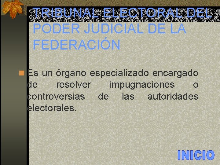 TRIBUNAL ELECTORAL DEL PODER JUDICIAL DE LA FEDERACIÓN n Es un órgano especializado encargado
