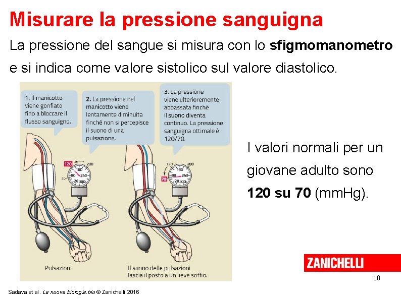 Misurare la pressione sanguigna La pressione del sangue si misura con lo sfigmomanometro e