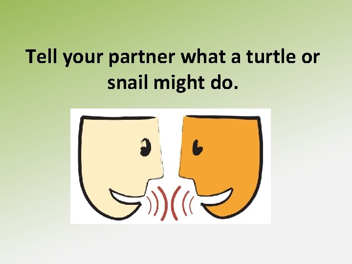 Tell your partner what a turtle or snail might do. 