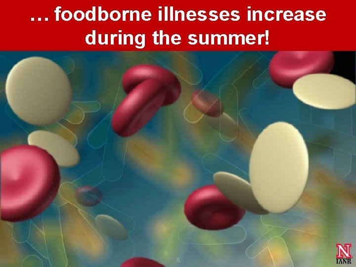 … foodborne illnesses increase during the summer! 6 … foodborne illnesses increase during the summer! 6