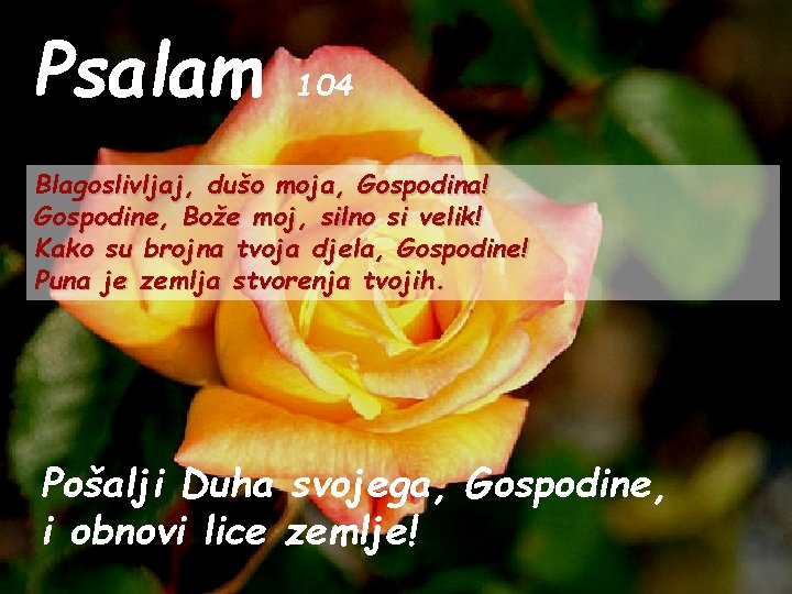 Psalam 104 Blagoslivljaj, dušo moja, Gospodina! Gospodine, Bože moj, silno si velik! Kako su
