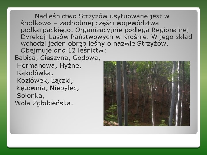 Nadleśnictwo Strzyżów usytuowane jest w środkowo – zachodniej części województwa podkarpackiego. Organizacyjnie podlega Regionalnej