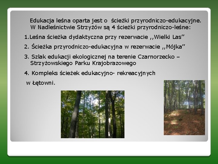 Edukacja leśna oparta jest o ścieżki przyrodniczo-edukacyjne. W Nadleśnictwie Strzyżów są 4 ścieżki przyrodniczo-leśne: