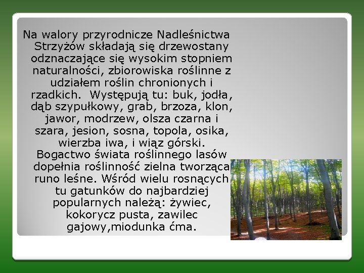 Na walory przyrodnicze Nadleśnictwa Strzyżów składają się drzewostany odznaczające się wysokim stopniem naturalności, zbiorowiska