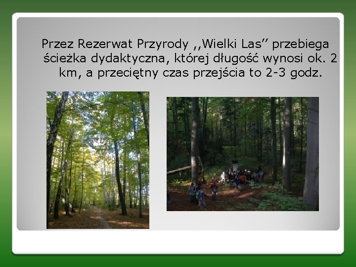 Przez Rezerwat Przyrody , , Wielki Las’’ przebiega ścieżka dydaktyczna, której długość wynosi ok.