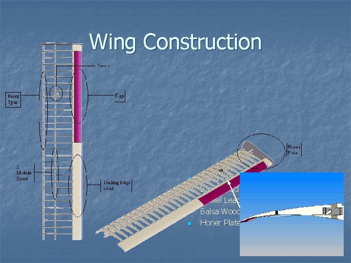 Wing Construction n n n Balsa Wood Risers Bass Wood Spars Dowel Leading Edge Wing Construction n n n Balsa Wood Risers Bass Wood Spars Dowel Leading Edge