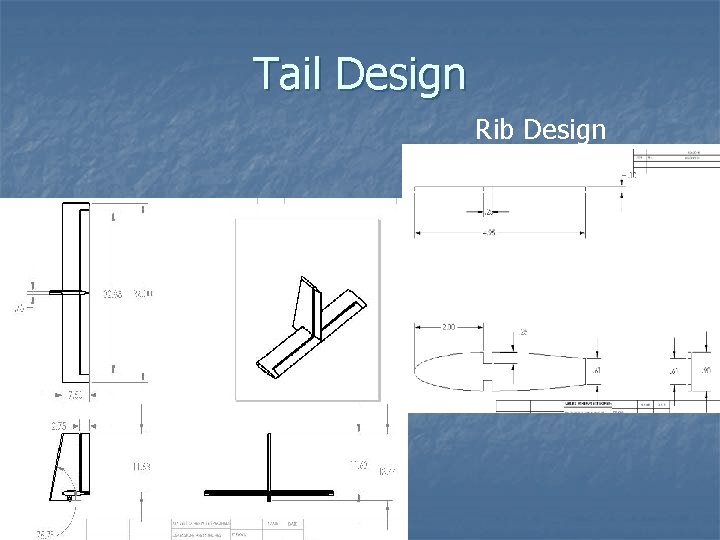 Tail Design Rib Design Tail Design Rib Design