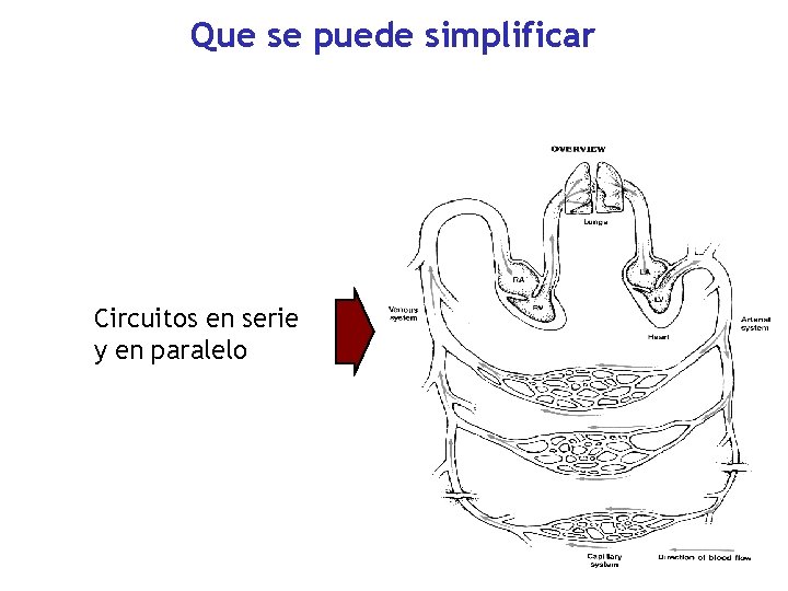 Que se puede simplificar Circuitos en serie y en paralelo 