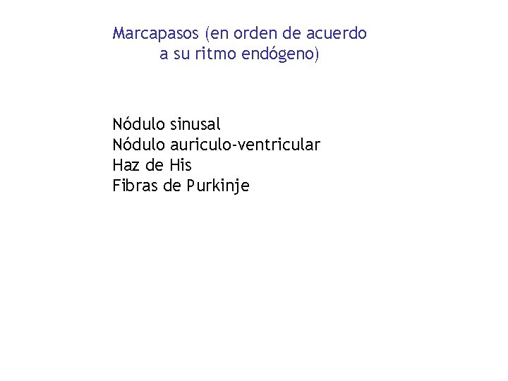 Marcapasos (en orden de acuerdo a su ritmo endógeno) Nódulo sinusal Nódulo auriculo-ventricular Haz