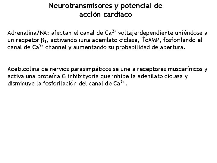 Neurotransmisores y potencial de acción cardíaco Adrenalina/NA: afectan el canal de Ca 2+ voltaje-dependiente