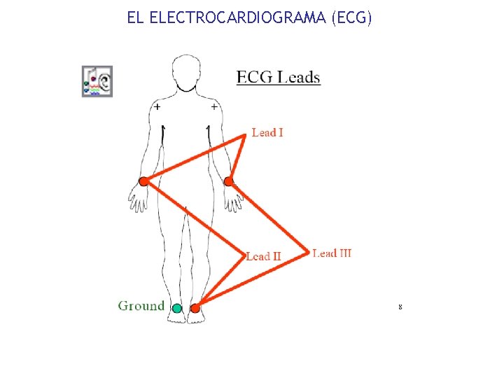 EL ELECTROCARDIOGRAMA (ECG) 