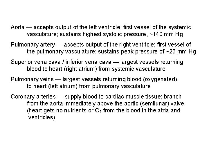 Aorta — accepts output of the left ventricle; first vessel of the systemic vasculature;